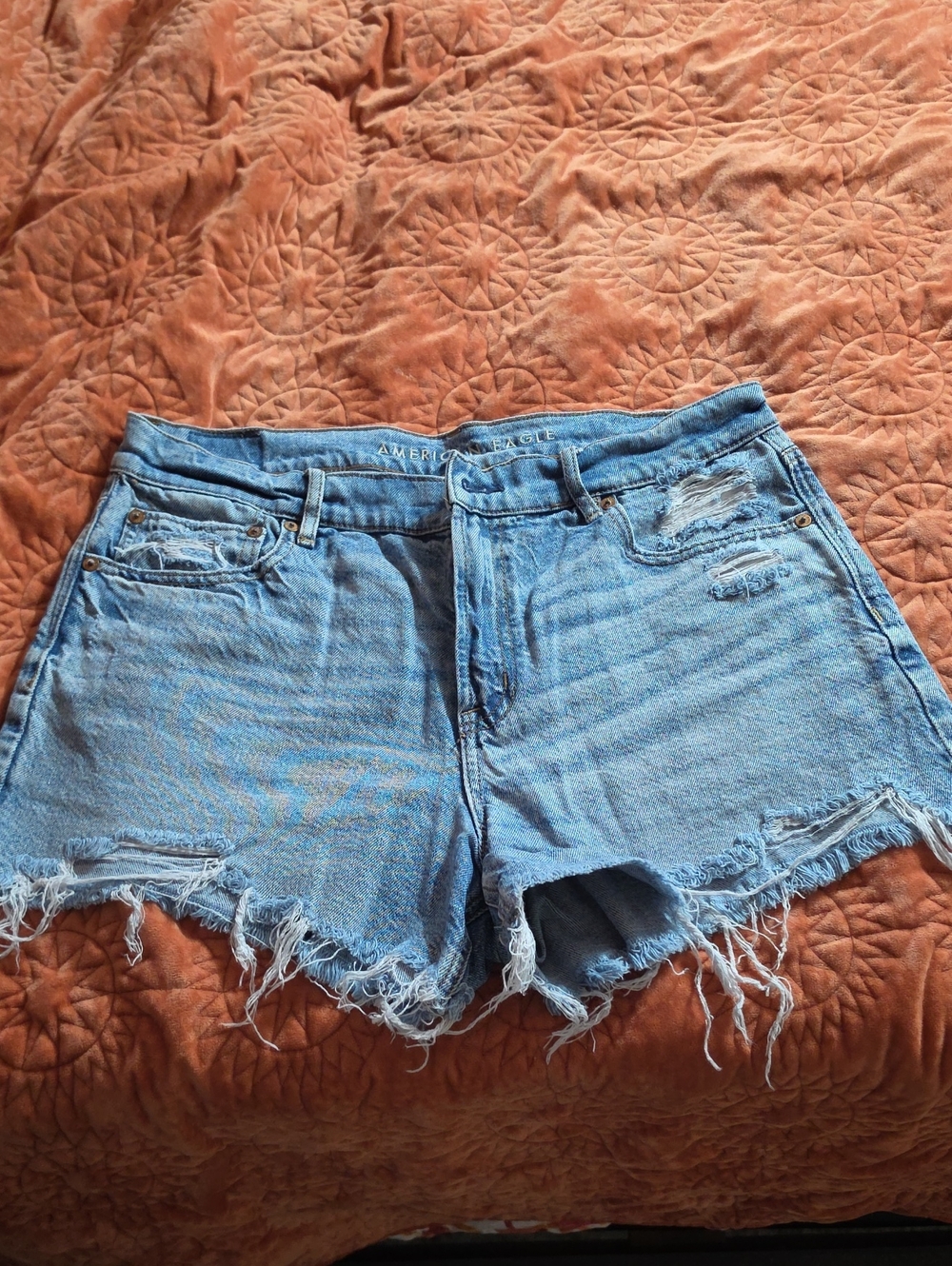 American Eagle Outfitters Light Wash Distressed Denim Cutoff Shorts